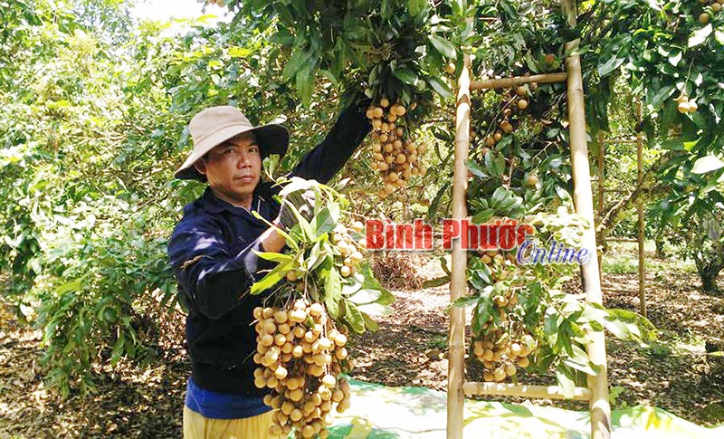 tienhung21082017040020.jpg