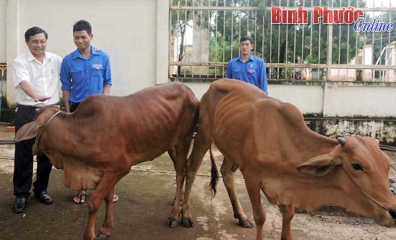 Tiếp vốn cho thanh niên Bình Long khởi nghiệp Tiếp vốn cho thanh niên Bình Long khởi nghiệp