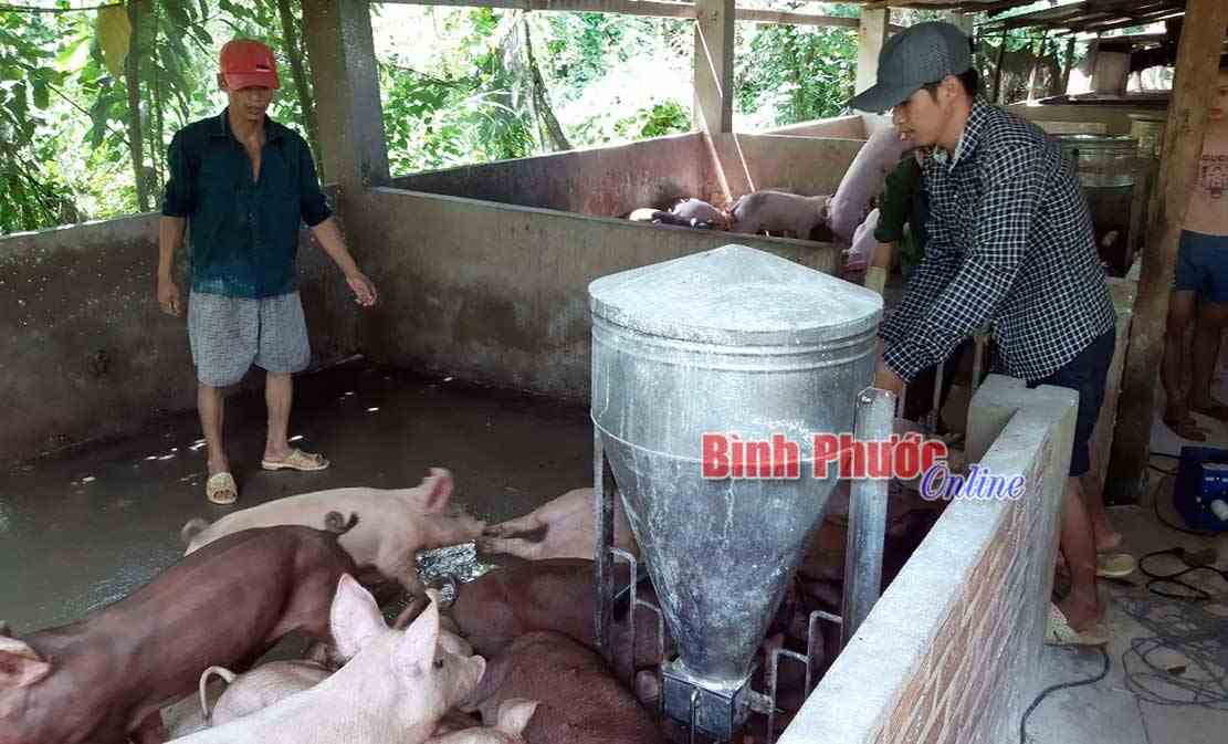 Sát cánh cùng nông dân vượt khó Sát cánh cùng nông dân vượt khó