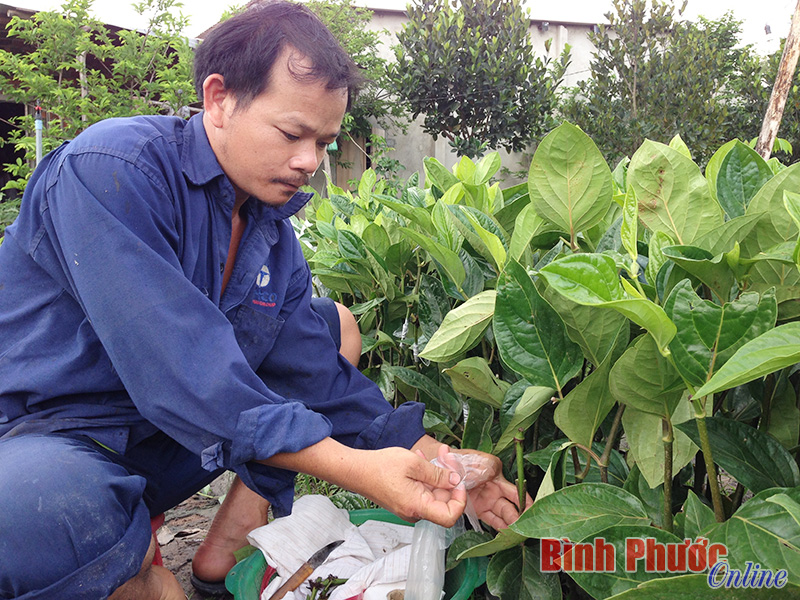 tieu4.jpg