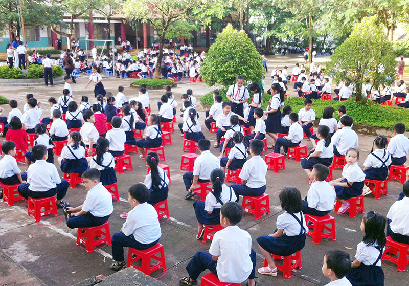 Nhiệm vụ và quyền hạn của trường tiểu học Nhiệm vụ và quyền hạn của trường tiểu học