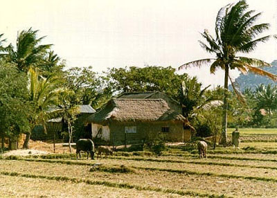 Tìm lại mái nhà xưa