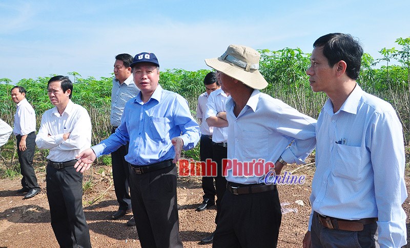 Khảo sát vị trí dự kiến đầu tư Dự án Khu liên hợp tái chế và xử lý chất thải tại Hớn Quản Khảo sát vị trí dự kiến đầu tư Dự án Khu liên hợp tái chế và xử lý chất thải tại Hớn Quản