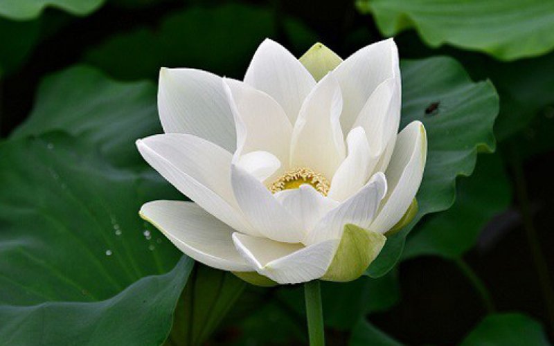 TIN BUỒN