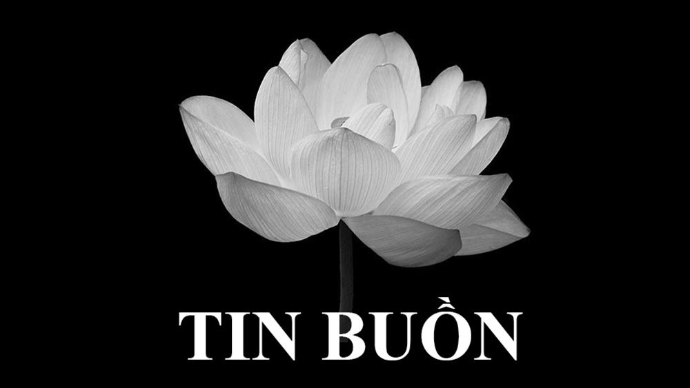 TIN BUỒN TIN BUỒN