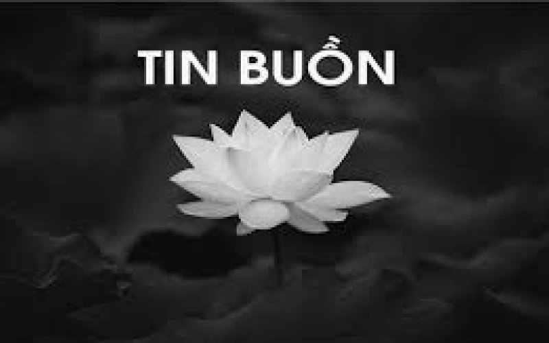 TIN BUỒN TIN BUỒN