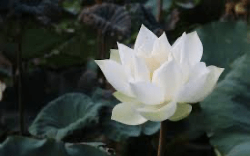 TIN BUỒN