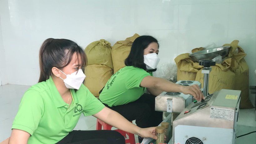 Tín hiệu vui cho hồ tiêu Lộc Ninh Tín hiệu vui cho hồ tiêu Lộc Ninh