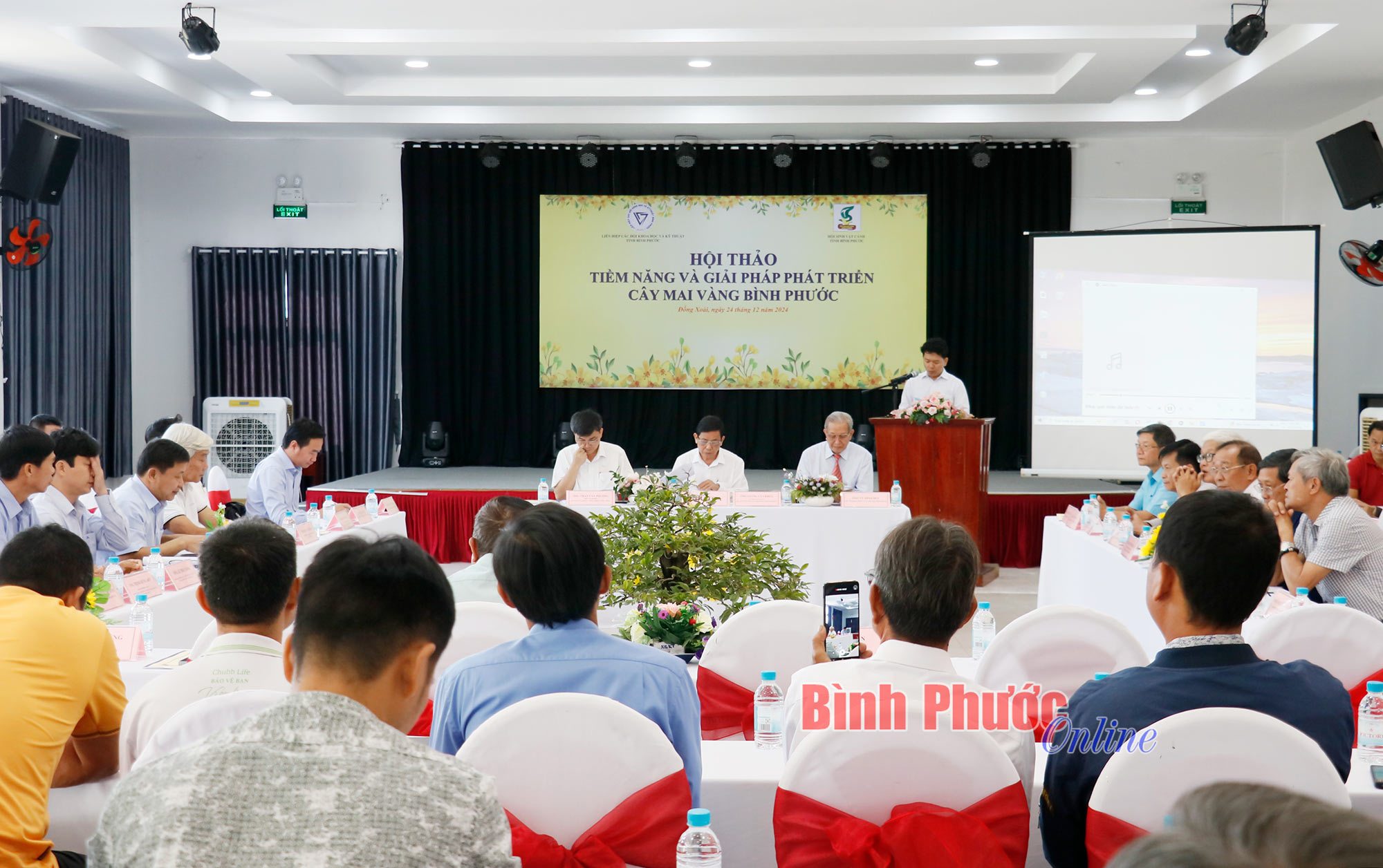 Hội thảo về giải pháp phát triển cây mai vàng Bình Phước