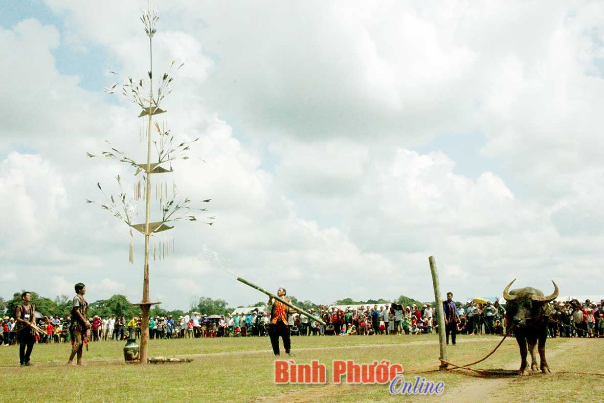 tinanh1119102018025454.jpg