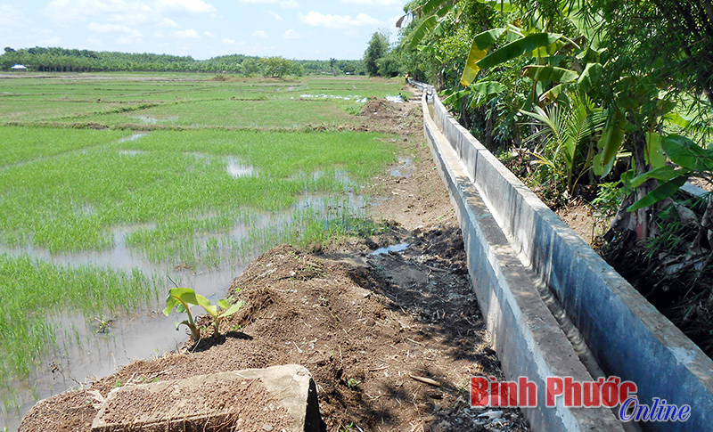 tinanh2.jpg