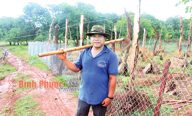 Ông Điểu Chút áp dụng khoa học - kỹ thuật vào sản xuất