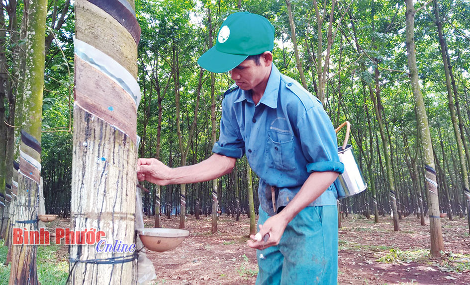Anh Điểu Phi - công nhân xuất sắc toàn diện