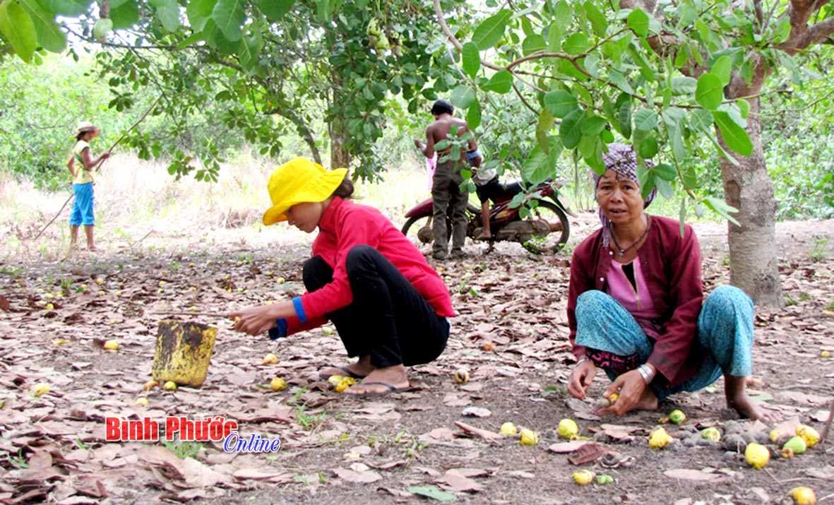 Cần một giải pháp tổng hợp, bền vững