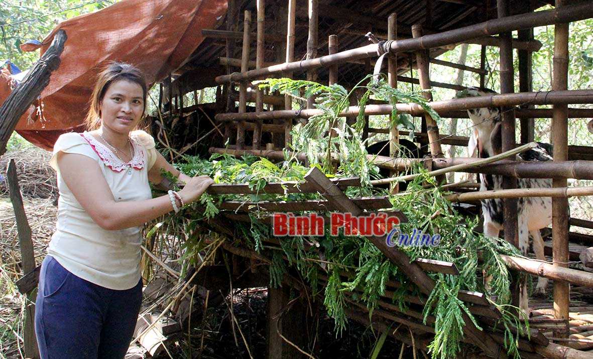 Chị Thị Zét được hỗ trợ phát triển kinh tế