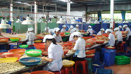 245 doanh nghiệp đăng ký hoạt động kinh doanh 245 doanh nghiệp đăng ký hoạt động kinh doanh