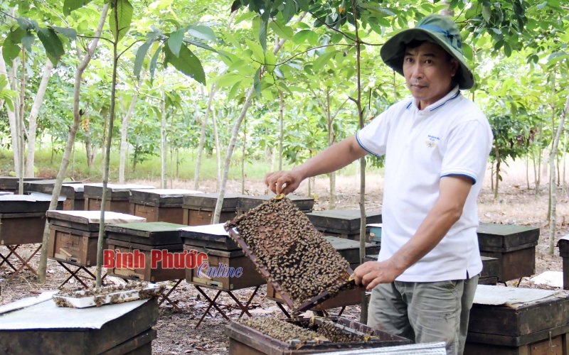 Tình đất - tình người ở biên giới Bù Đốp
