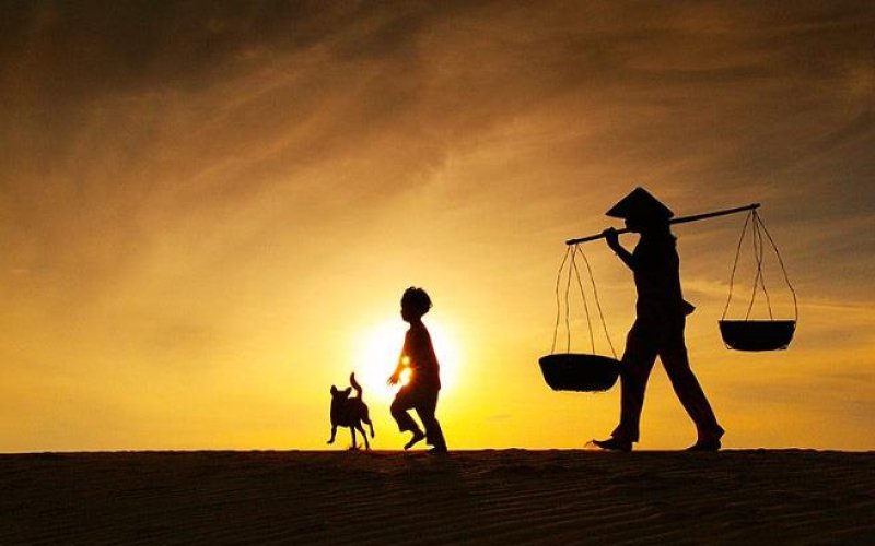 Tình mẹ bao la Tình mẹ bao la