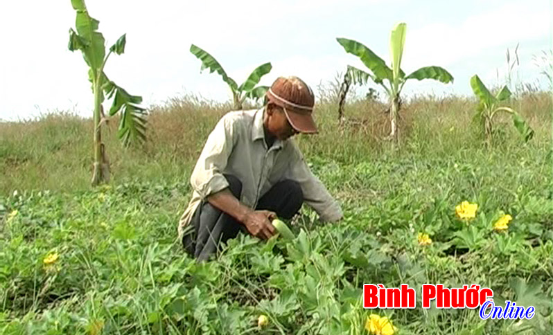 Tình trạng bán đất 134 ở Lộc Ninh