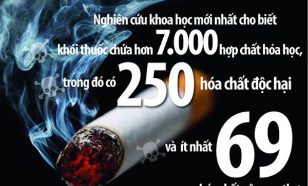 Trong thành phần của thuốc lá có chứa đường Trong thành phần của thuốc lá có chứa đường