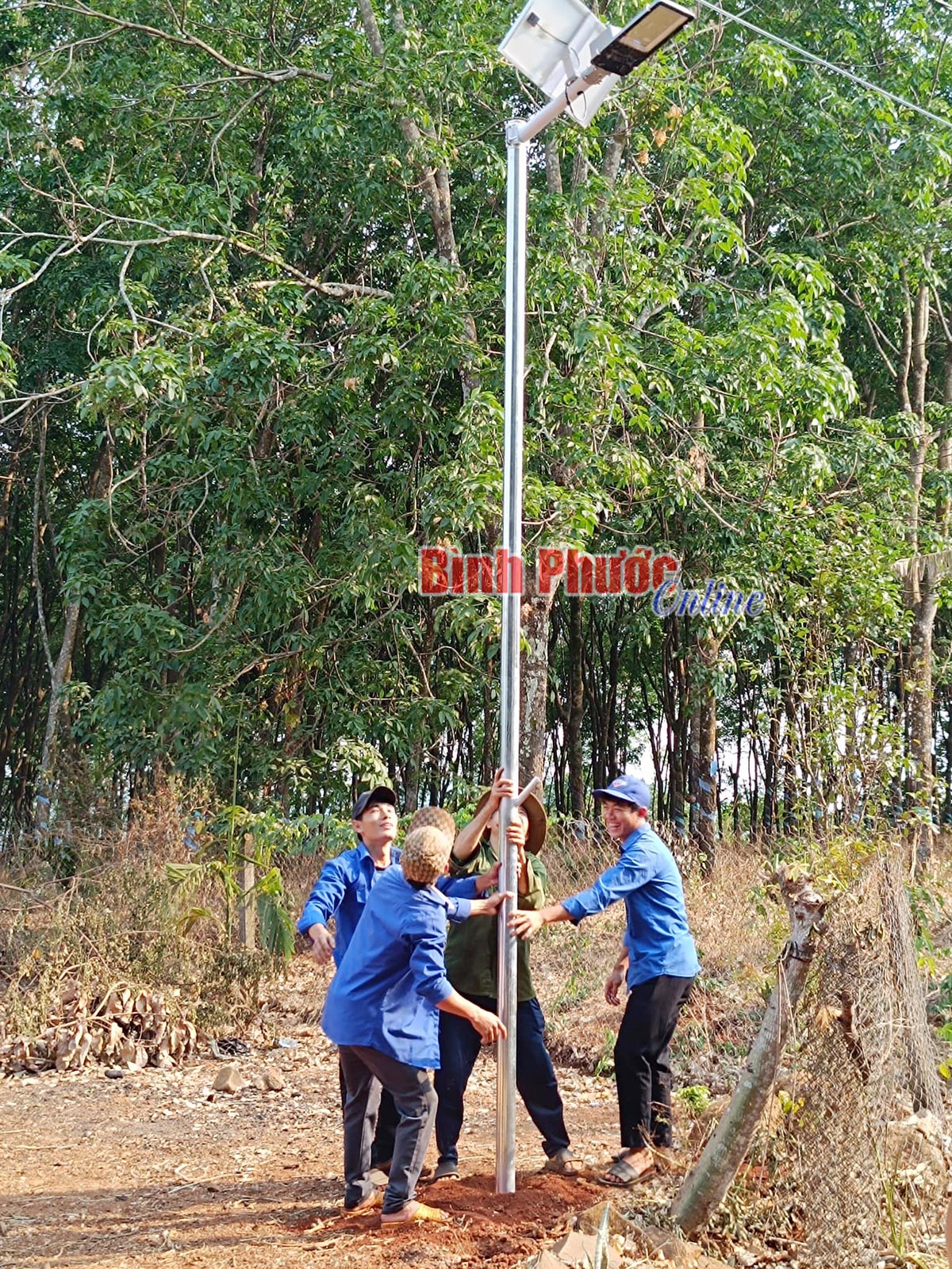 tn2_23085425032024.jpg