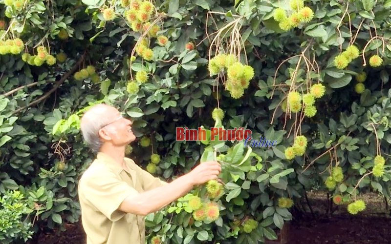 Tô thắm phẩm chất bộ đội Cụ Hồ