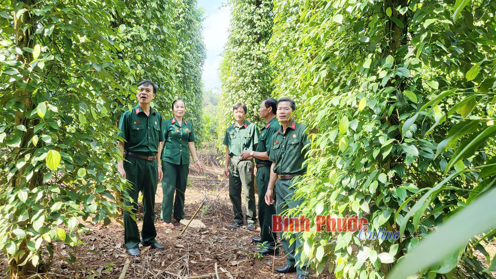 Tỏa sáng giữa thời bình Tỏa sáng giữa thời bình