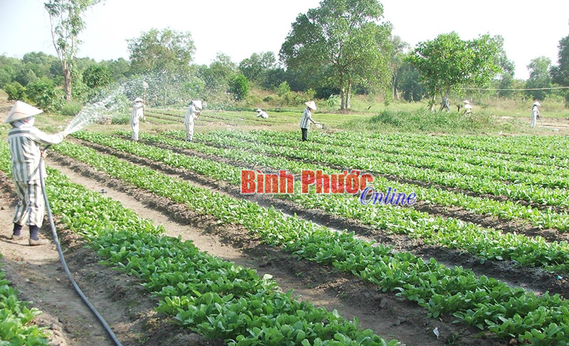 Sẽ nhân rộng mô hình “Vì ngày mai tươi sáng” trong toàn tỉnh