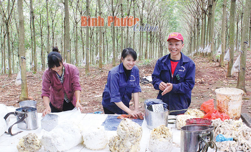 Tổ khai thác có gần 90% công nhân DTTS về trước kế hoạch 39 ngày