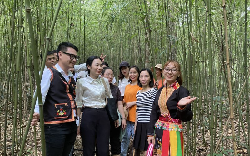 TP. Hạ Long: Du lịch tăng trưởng ấn tượng TP. Hạ Long: Du lịch tăng trưởng ấn tượng
