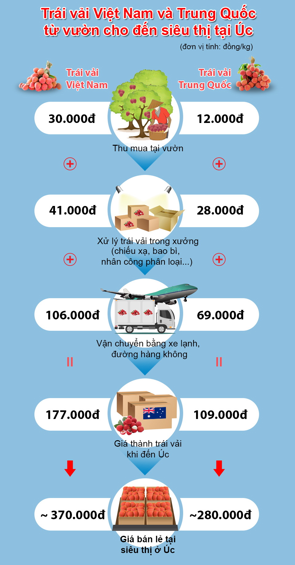 Trái vải Việt Nam và Trung Quốc - cuộc đua chưa cân sức