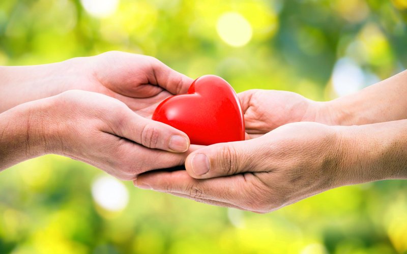 Trái tim yêu thương của mẹ