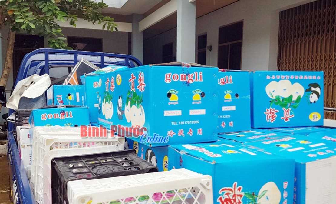 Bắt giữ, tiêu hủy hơn 1 tấn trái cây nhập lậu Bắt giữ, tiêu hủy hơn 1 tấn trái cây nhập lậu