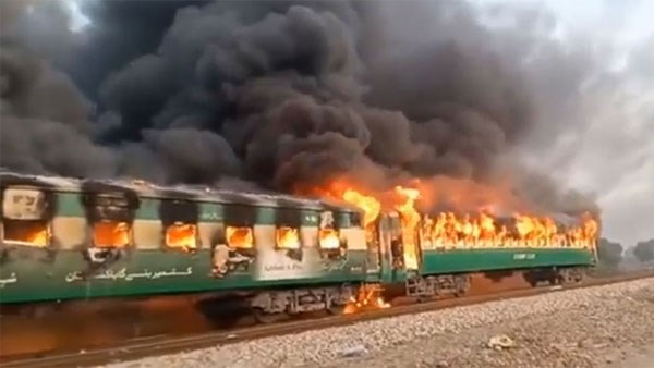 train231102019023408.jpg