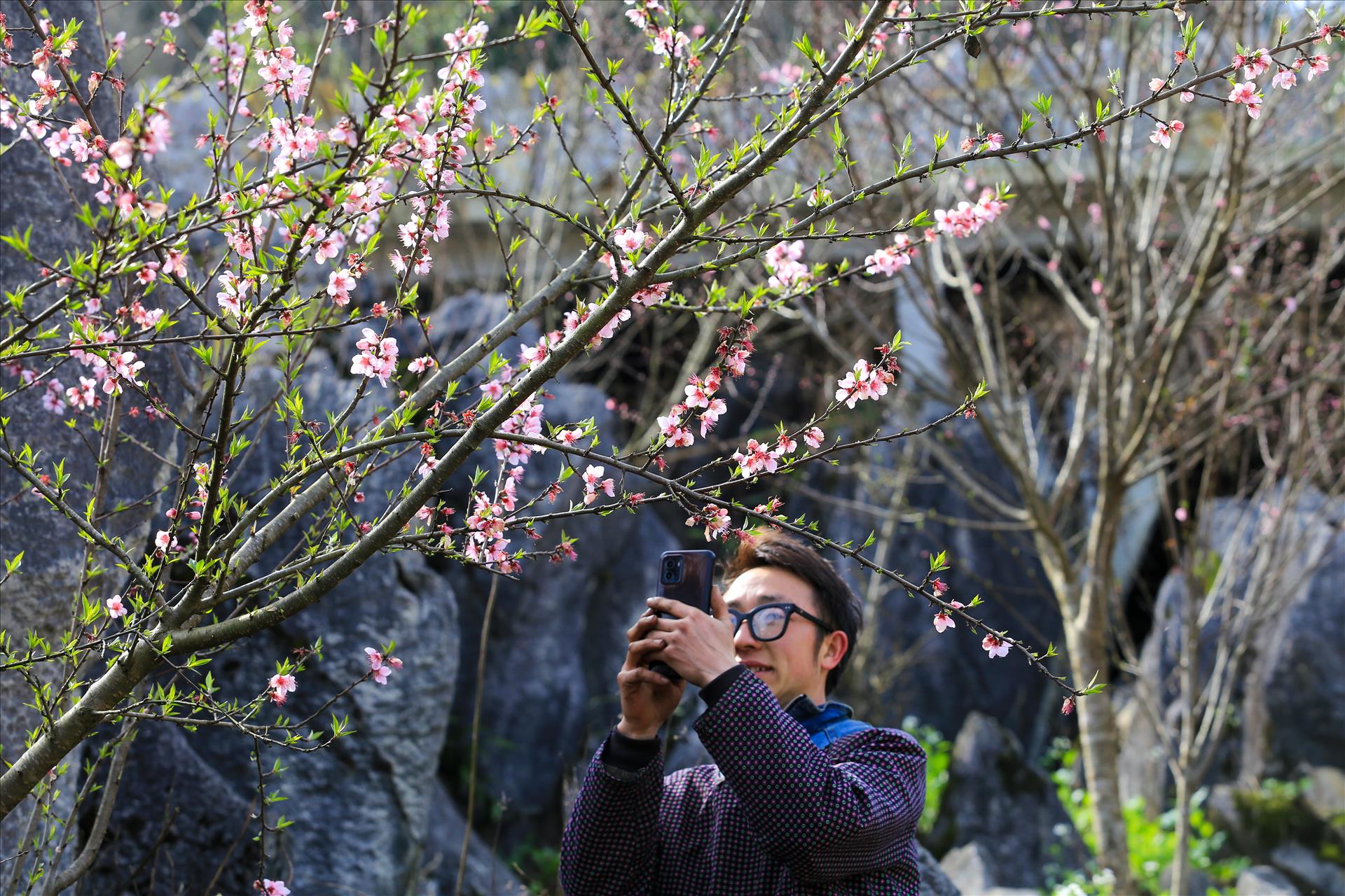 tran-hieu-dao-107-11-5-32.jpg