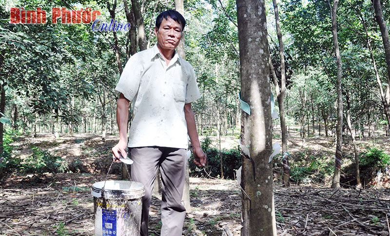 CCB Trần Xuân Phương làm kinh tế giỏi