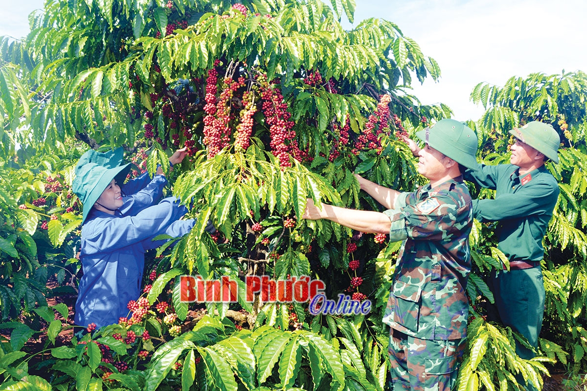 trang38b_20004520012022.jpg