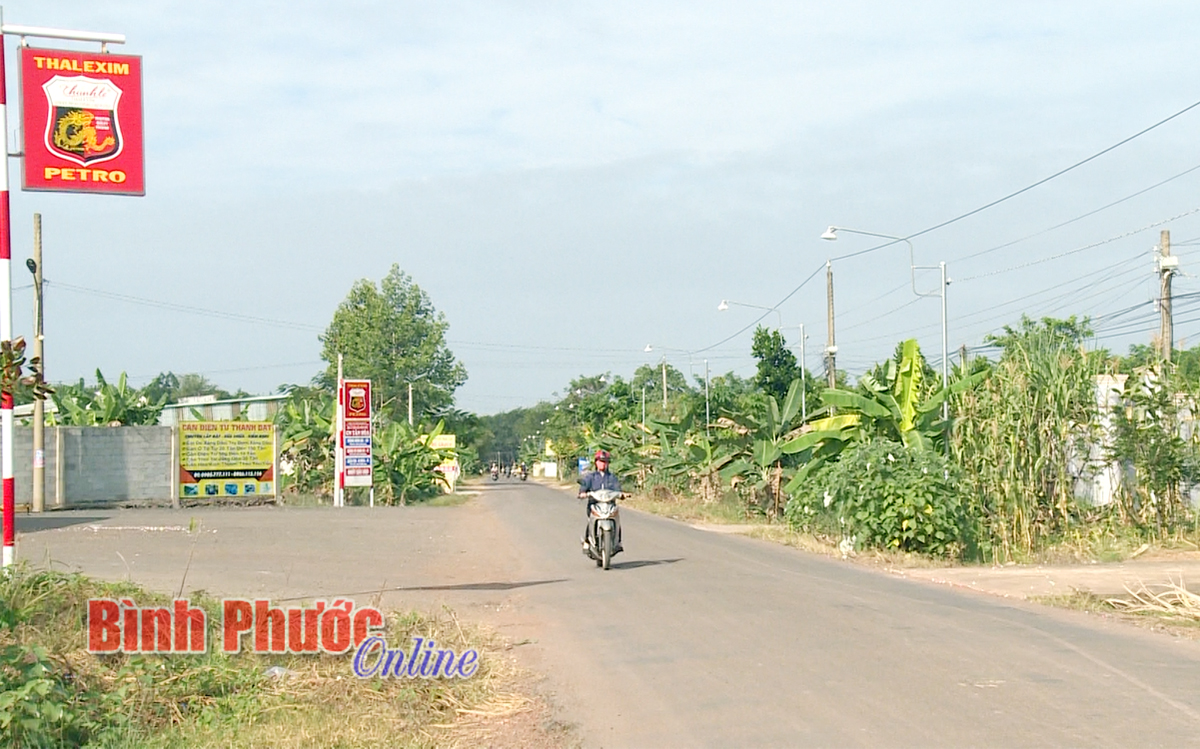trang4_08521118012022.jpg