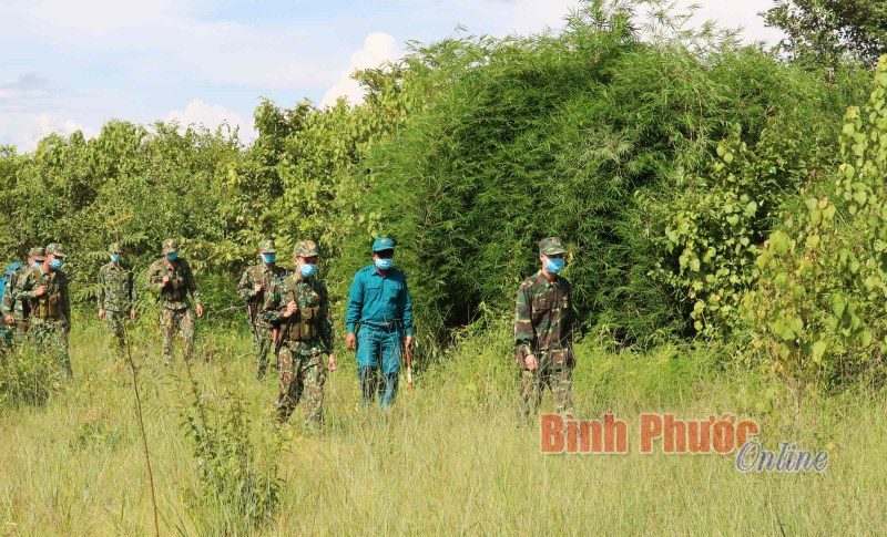 Những bước chân thầm lặng