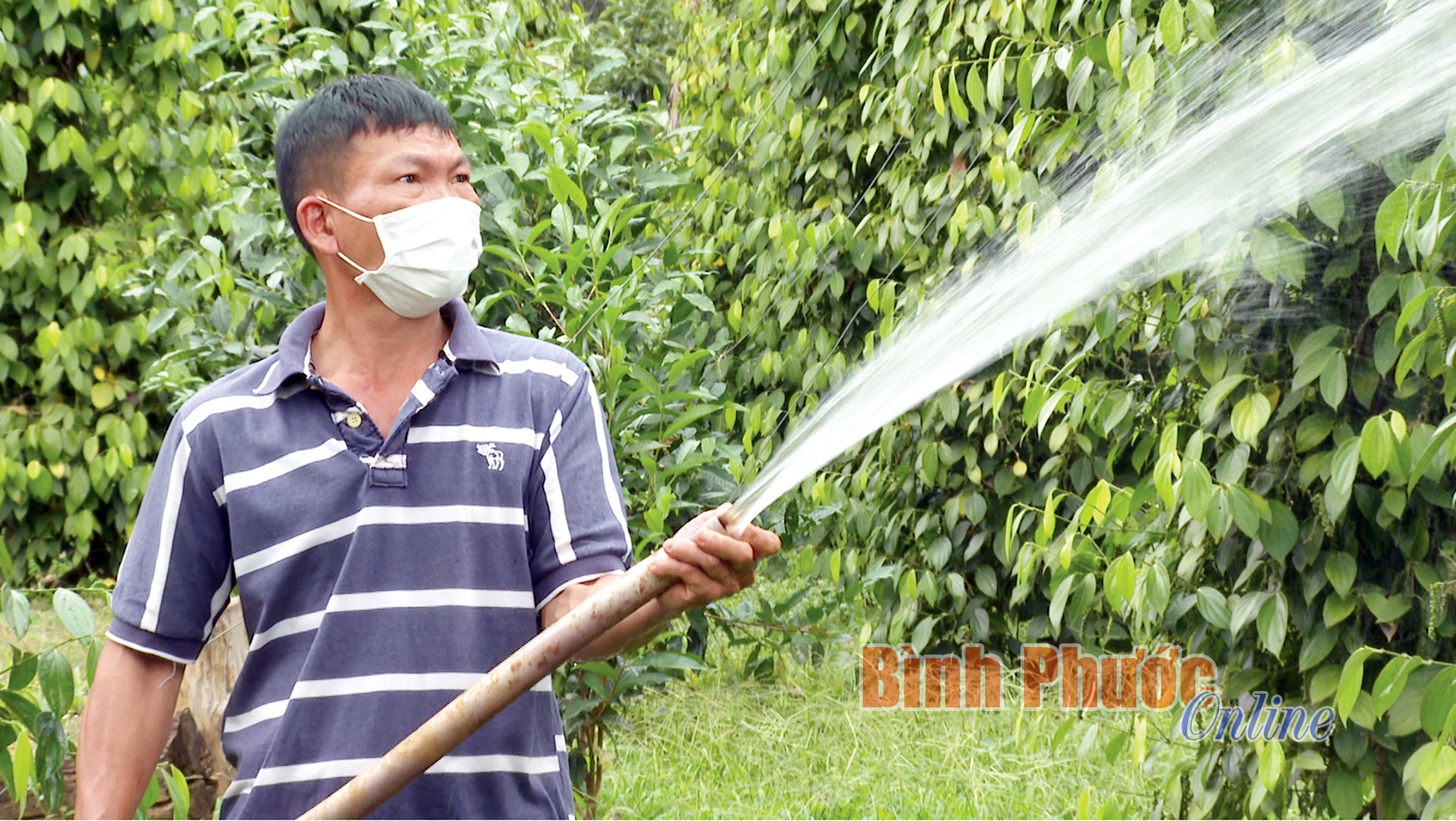 trang_26_2_18570029012022.jpg