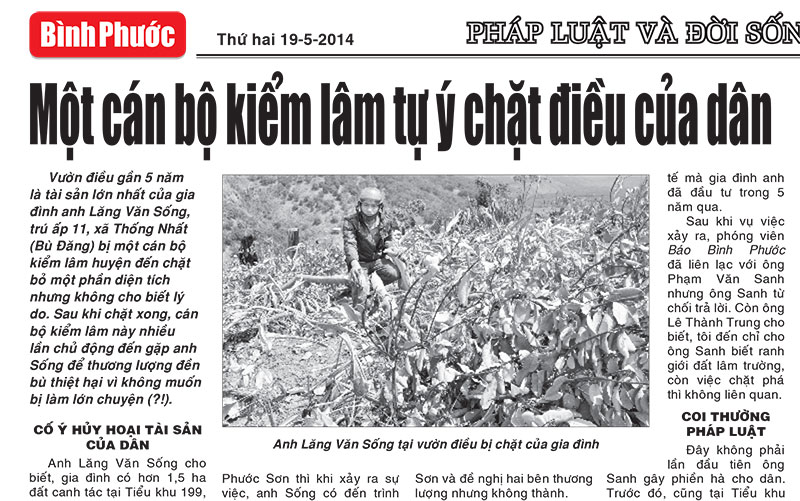 Vụ “Một cán bộ kiểm lâm tự ý chặt điều của dân”: Báo Bình Phước phản ánh đúng thực tế Vụ “Một cán bộ kiểm lâm tự ý chặt điều của dân”: Báo Bình Phước phản ánh đúng thực tế