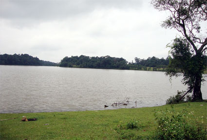 trangco(1).jpg