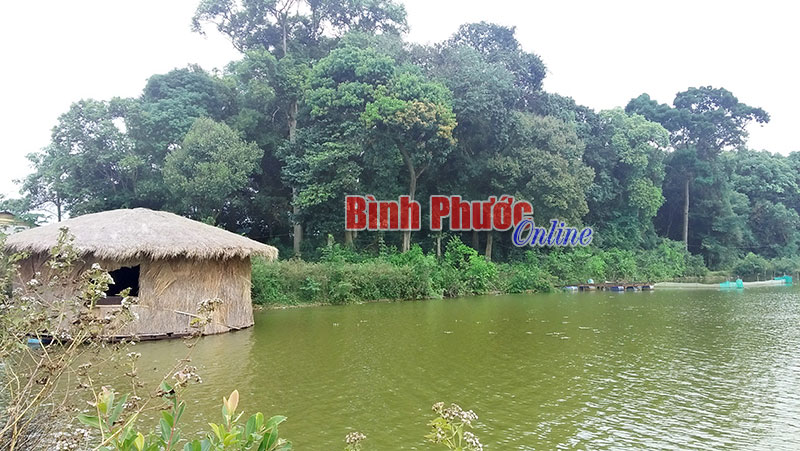 trangco213092018042518.jpg
