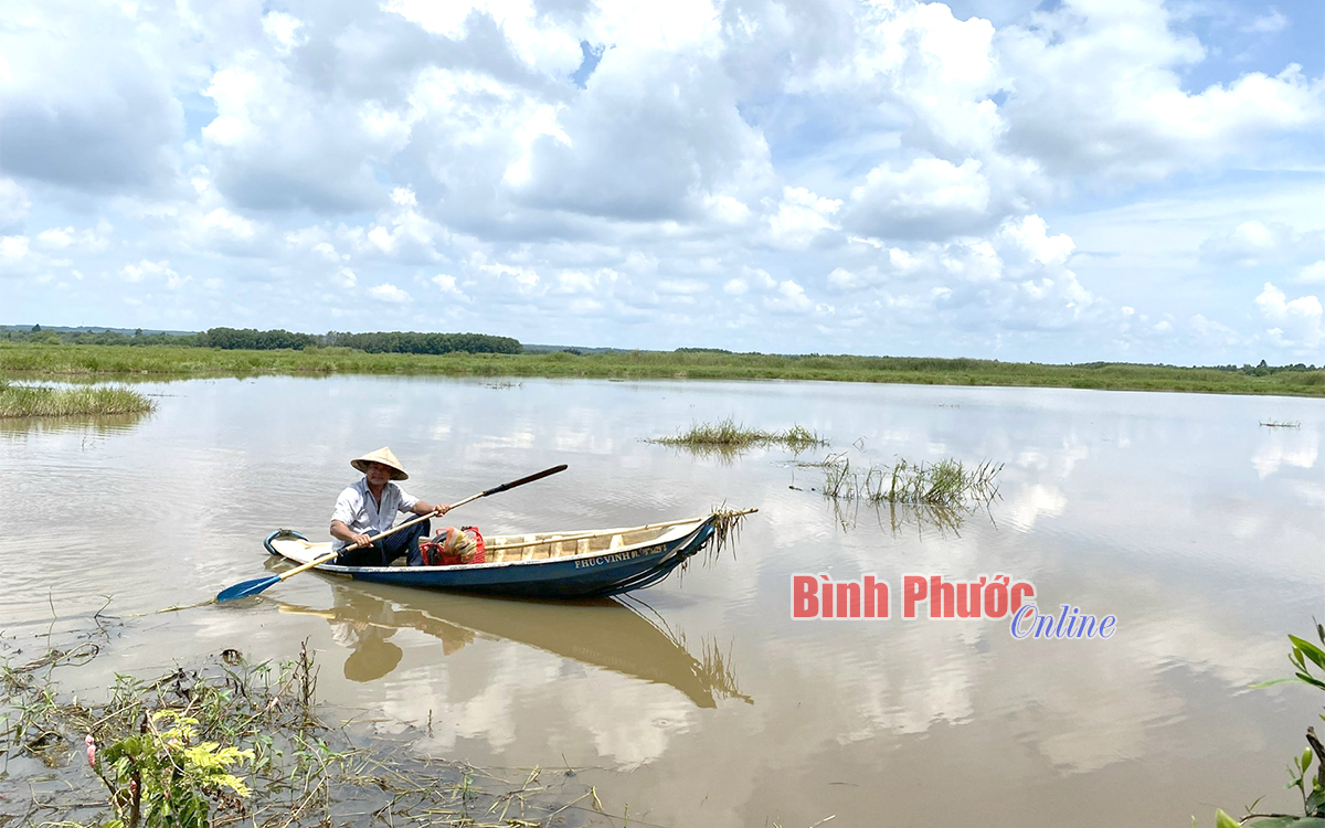 tranh1_20262518092022.jpg