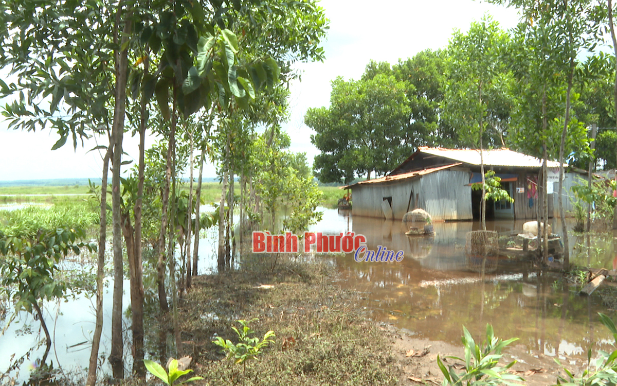 tranh2_20263118092022.jpg