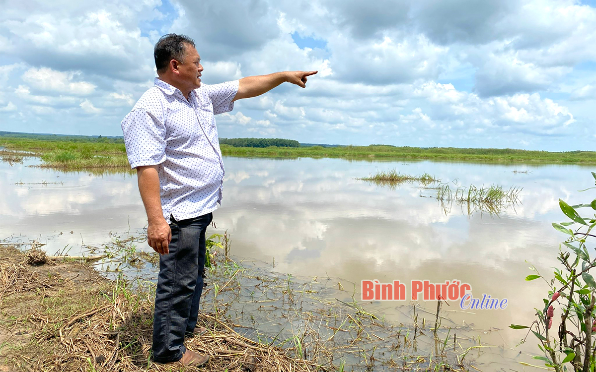 tranh3_20263618092022.jpg