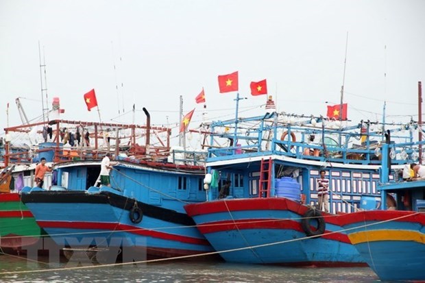 tranhtrubao05122019031733.jpg