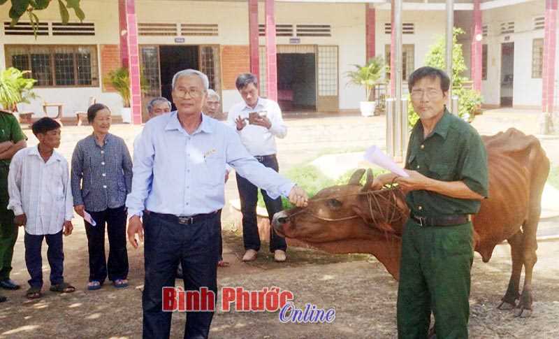 Trao 4 con bò cho gia đình nạn nhân chất độc da cam Trao 4 con bò cho gia đình nạn nhân chất độc da cam