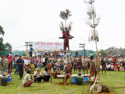 traudinh.jpg