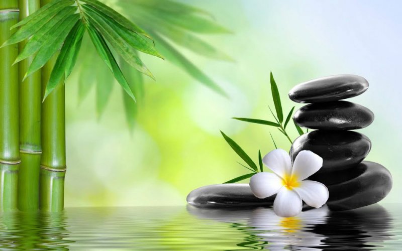 Trẻ mơ xa, già nhớ lại